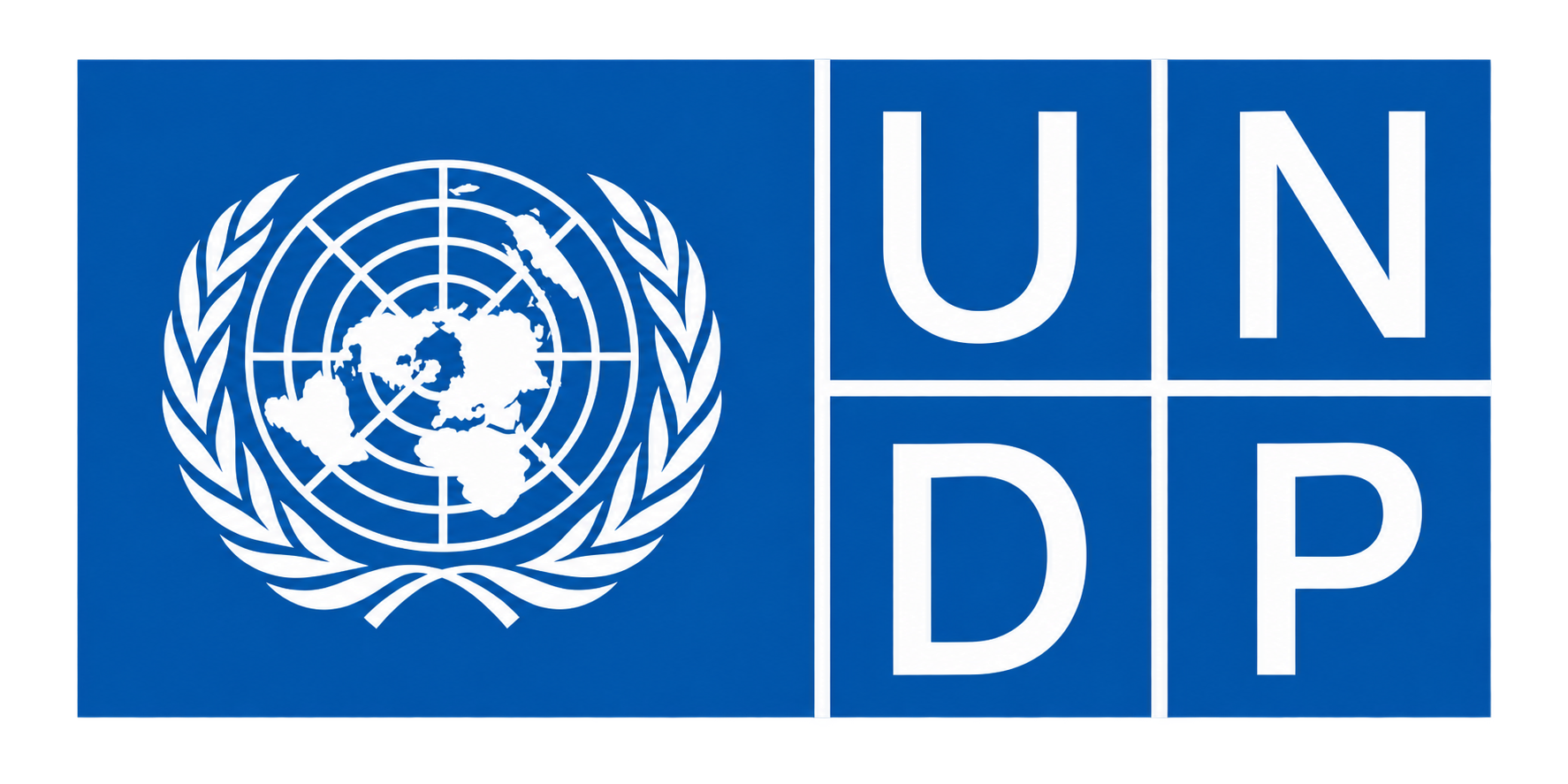 United Nations Development Programme